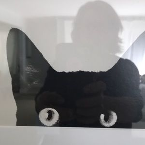 Meet your Posher, Lucy